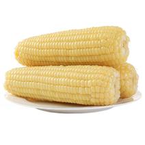 【东北速冻黏玉米】万诺2000，一二三等大量现货。