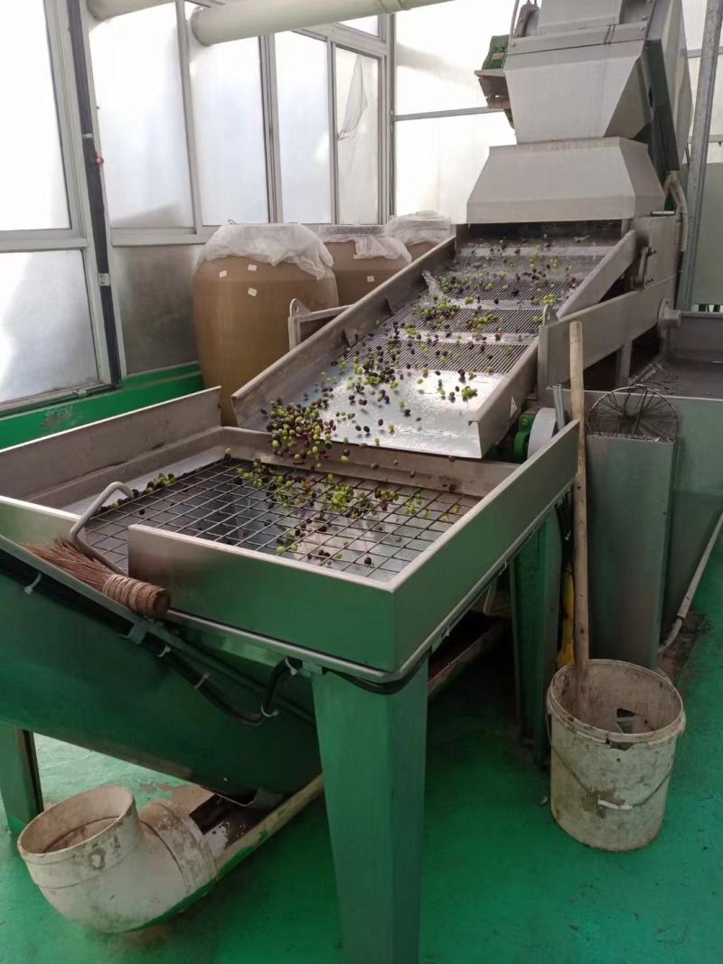 橄榄油厂家生产货源充足需要可以直接联系