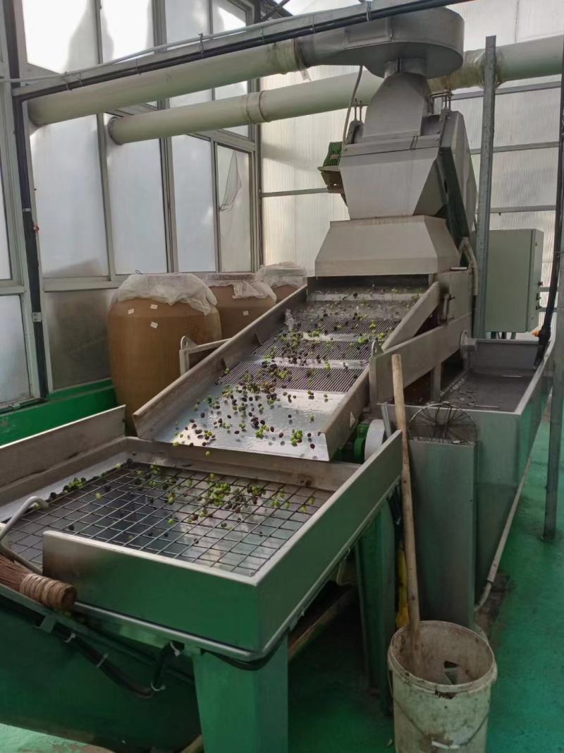橄榄油厂家生产货源充足需要可以直接联系