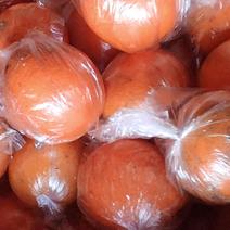 锦橙100号，储存果正在热卖中，果大皮薄，需要的我。