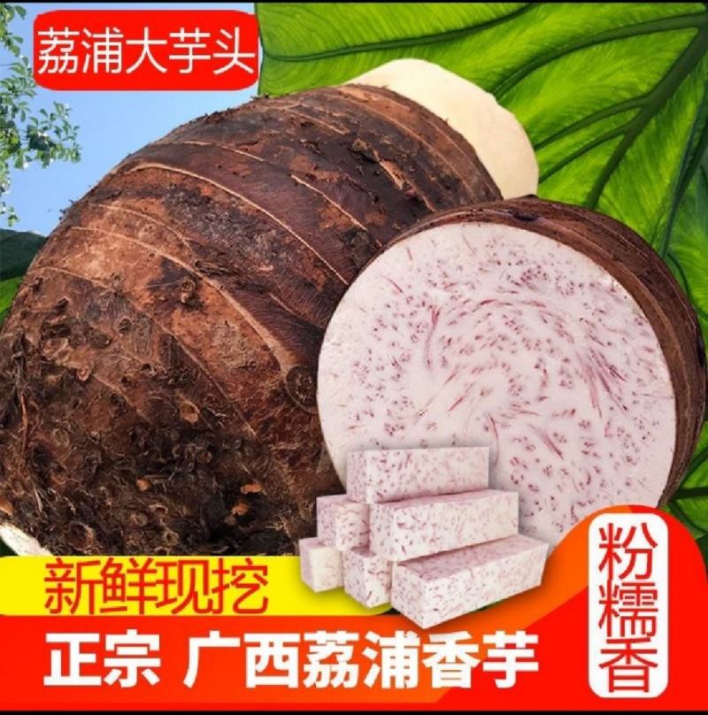 芋头，荔浦芋头，槟榔芋，广西芋头，产地批发价，全国发货