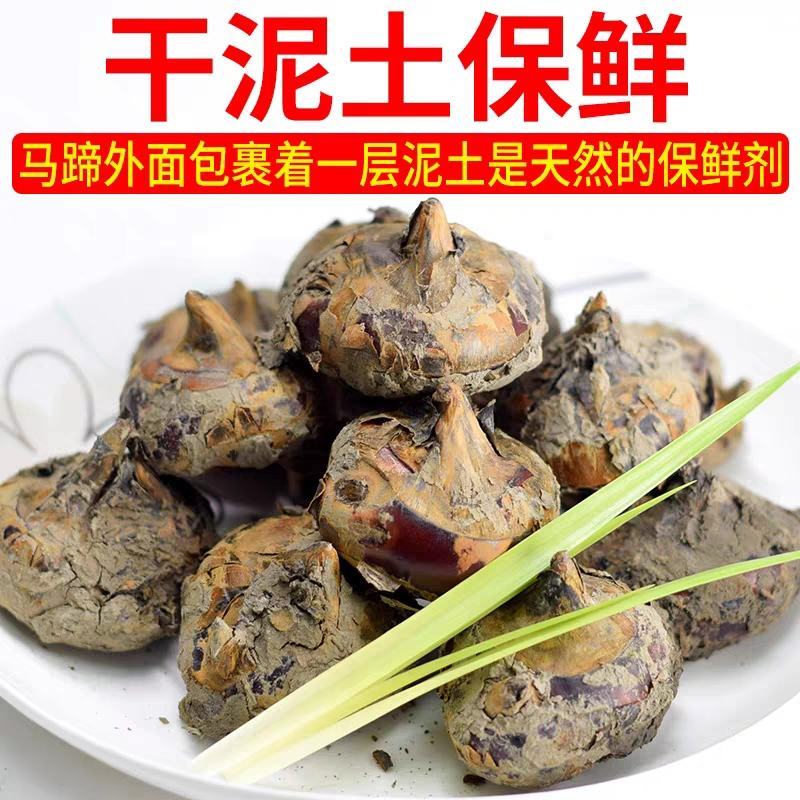 广西马蹄荸荠个大味甜，承接电商团购，可一件代发，诚招老板