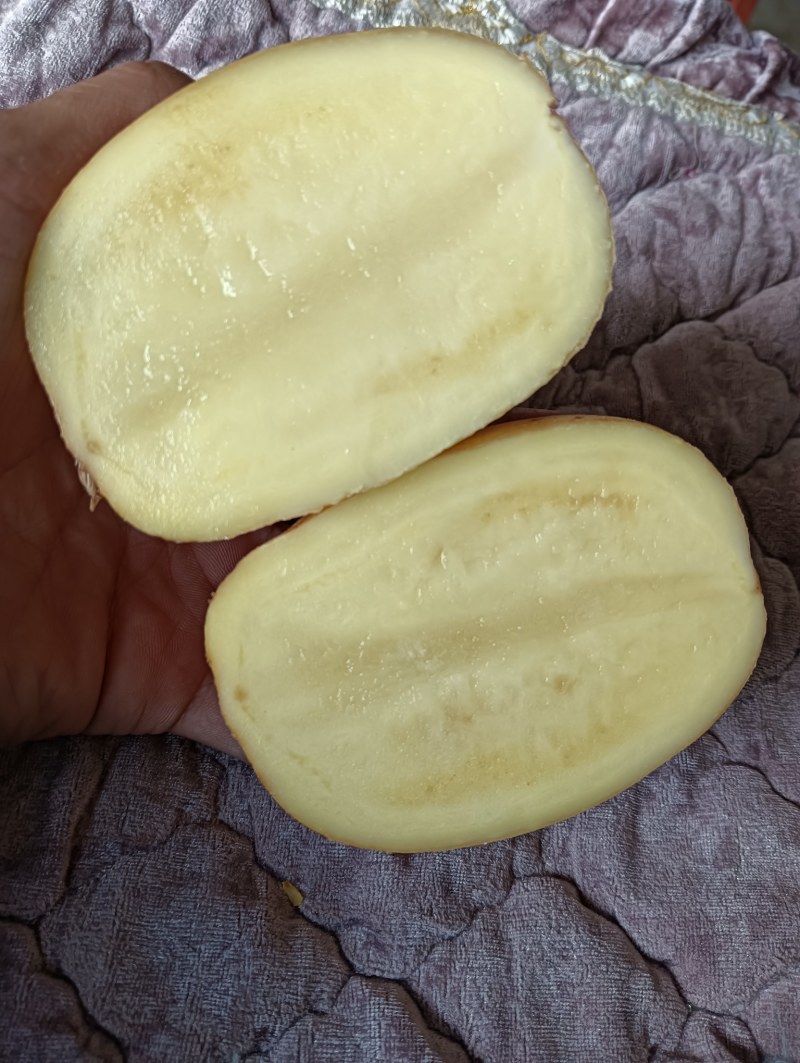 黄皮黄心小土豆