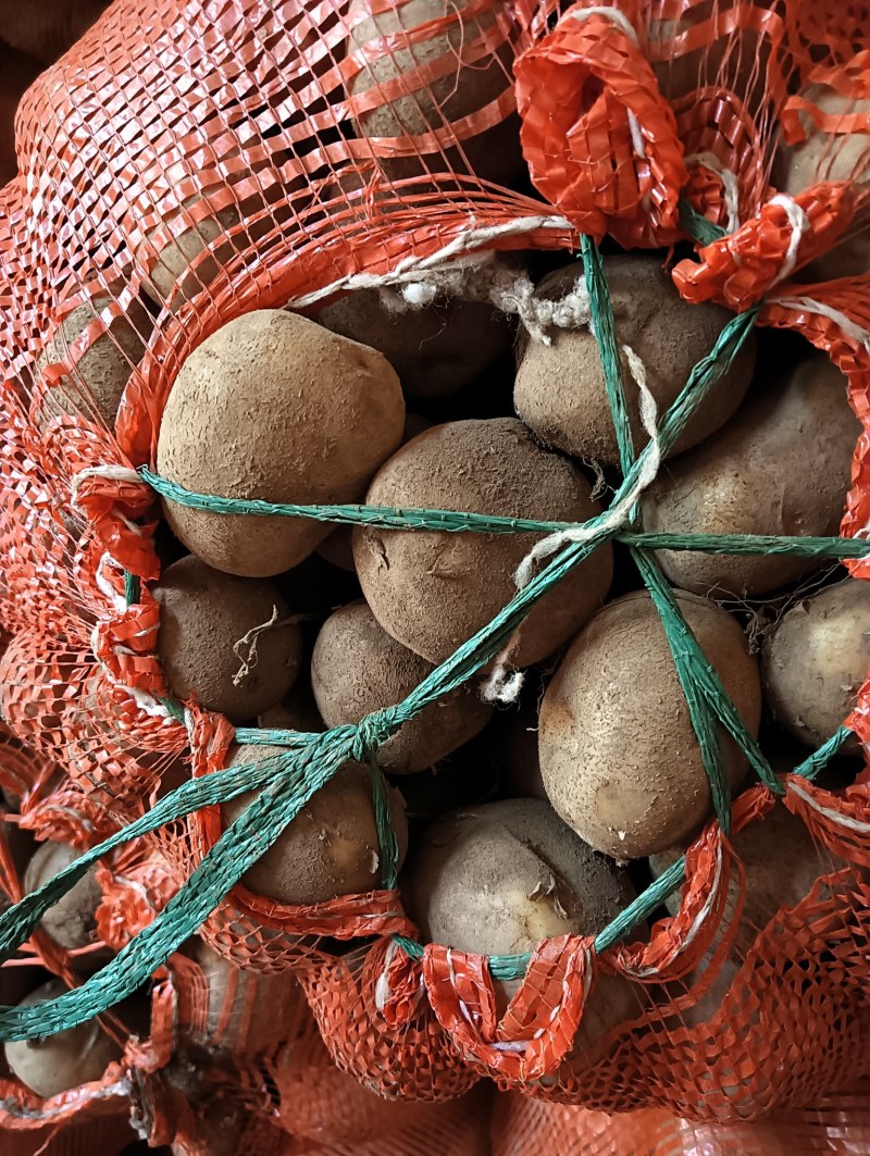 黄皮黄心小土豆