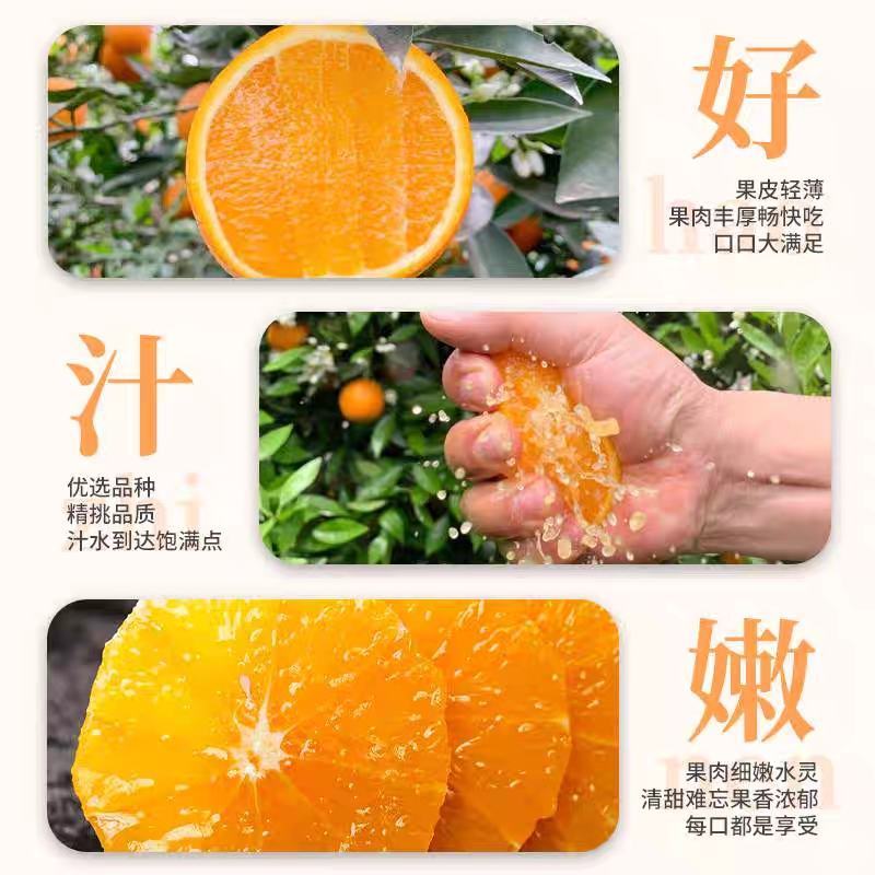 广西脐橙，纽荷尔脐橙，量大价优，可代发代办全国，承接电商