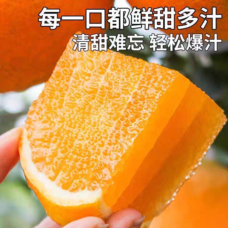 广西脐橙，纽荷尔脐橙，量大价优，可代发代办全国，承接电商
