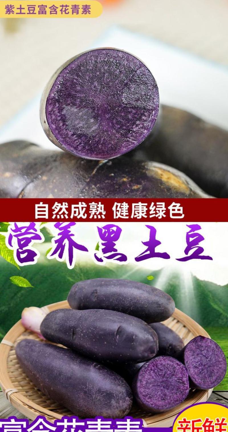 紫黑土豆黑土豆花青素含量高的黑土豆5斤装包邮