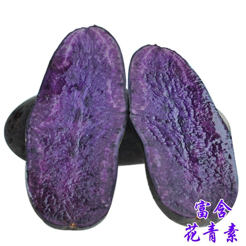 紫黑土豆黑土豆花青素含量高的黑土豆5斤装包邮