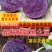 紫黑土豆黑土豆花青素含量高的黑土豆5斤装包邮
