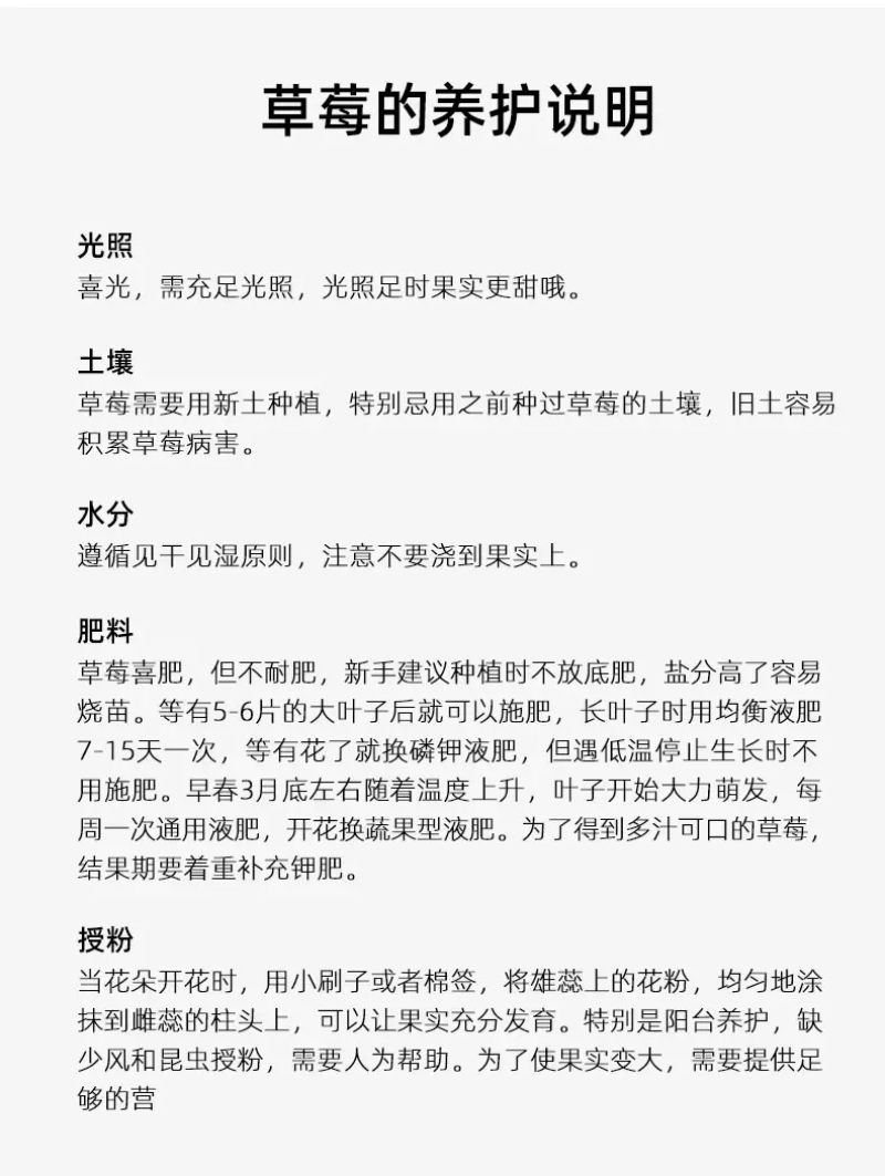 【实力】草莓苗精选草莓苗直发全国成活率高