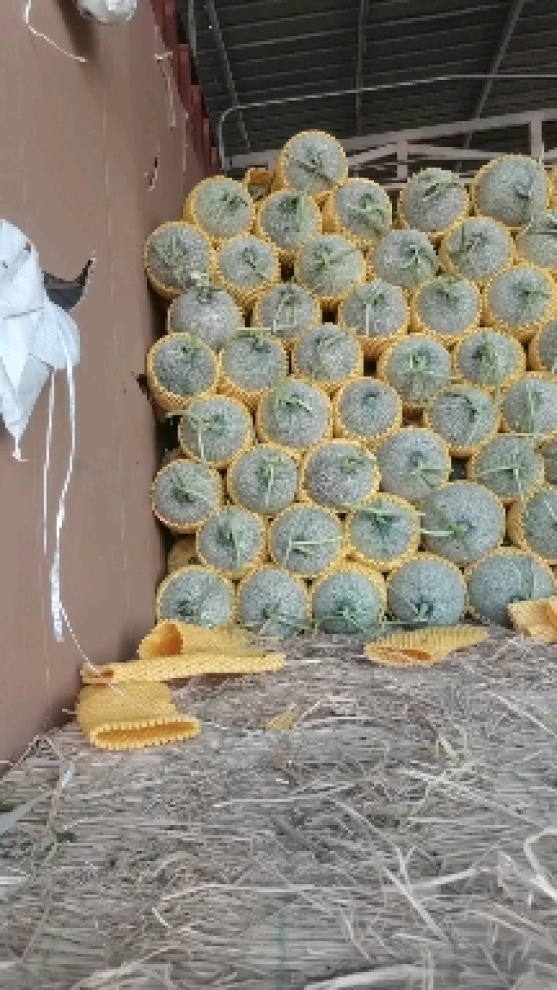 甘肃民情精品一手货源产地直发，价优欢迎