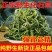 云南化石草中药野生化石草肾精草精选新货化石草