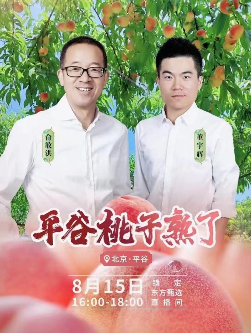 平谷大桃，品名绿化九号，一手货源，对接电商，一件代发