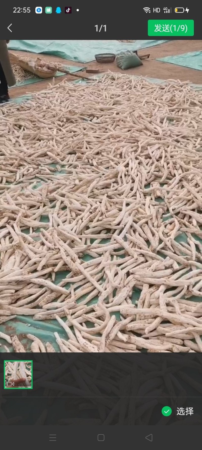 麻山药干