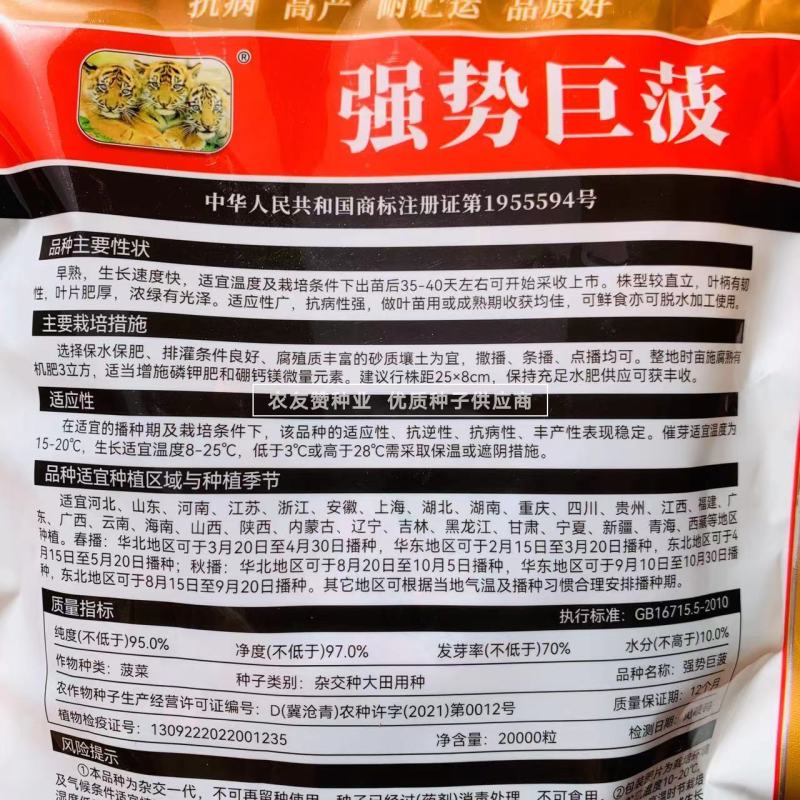 墨秀/强势巨菠一代杂交菠菜种子抗病强适应性广菜园基地专用