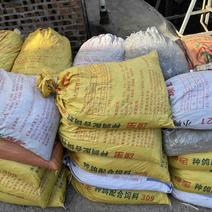 鸽粪，大量供应江西汕头福建梅州等地欢迎预约