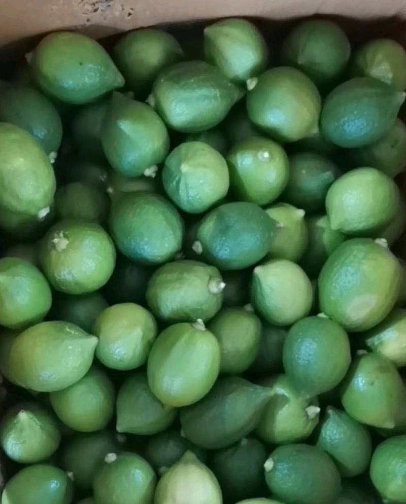 香水柠檬