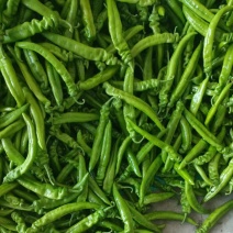 窟窿台产地蔬菜