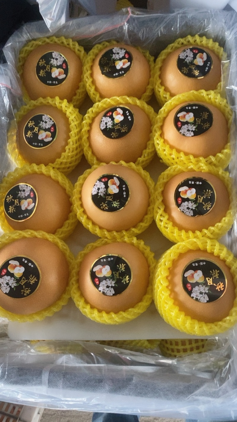 山区秋月梨上市了