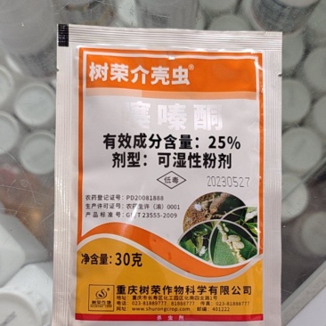 树荣蚧壳虫噻嗪酮25%蚧壳虫飞虱小叶绿蝉杀虫剂农药