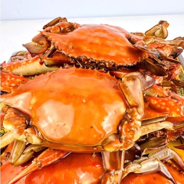 麻辣梭子蟹批发，一袋起发三袋包邮全国发货送货上门