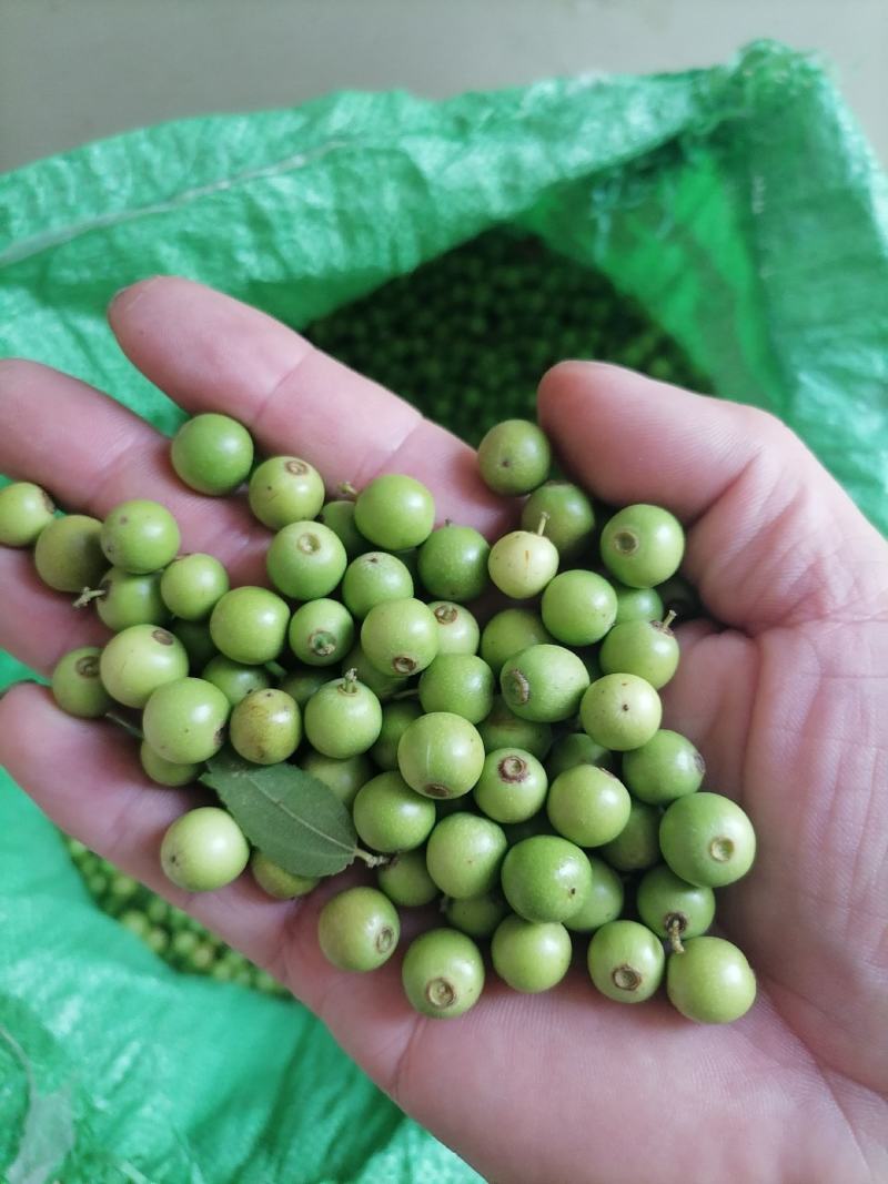 小枣小酸枣