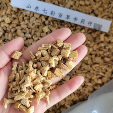 党参甘肃产地货源大货供应多种规格七彩百草中药材批