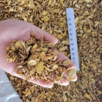 黄芩甘肃产地货源大货供应多种规格七彩百草中药材批