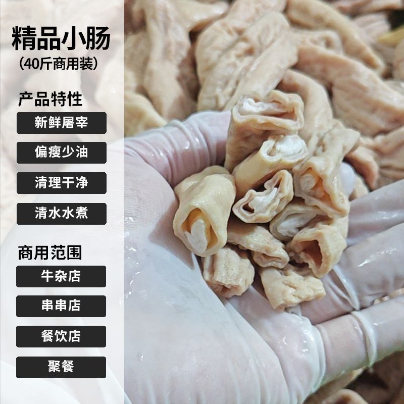 干净小肠商用一件5袋共40斤新鲜冷冻