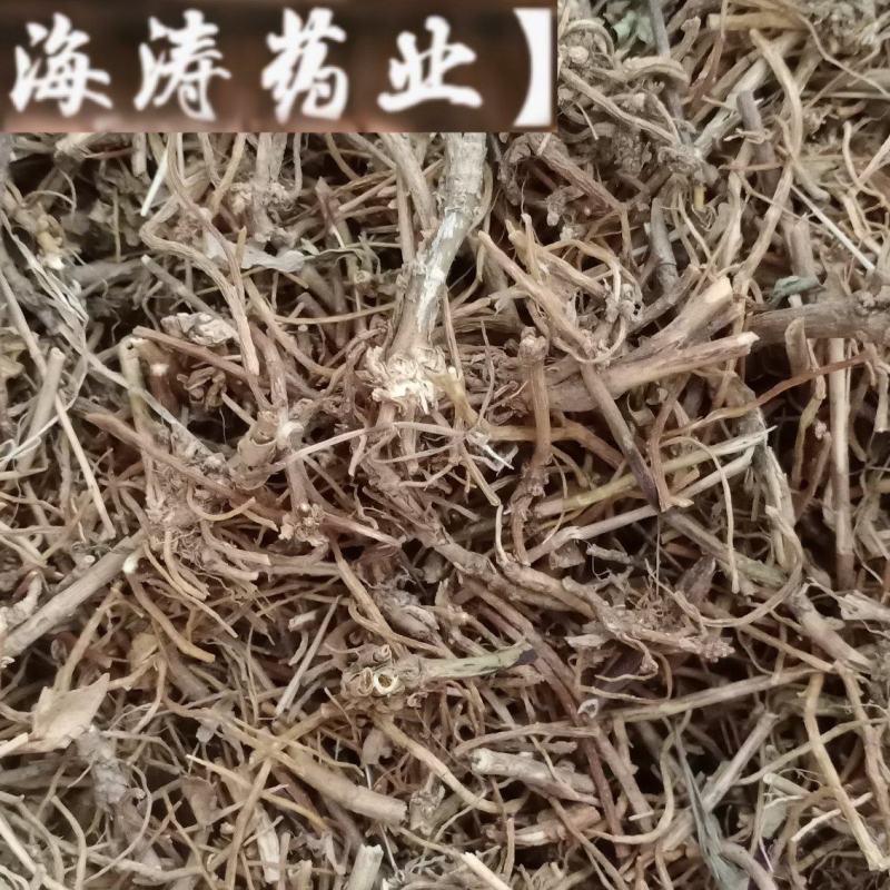 【龙胆草】产地东北实物拍摄大货供应规格齐全量大优惠