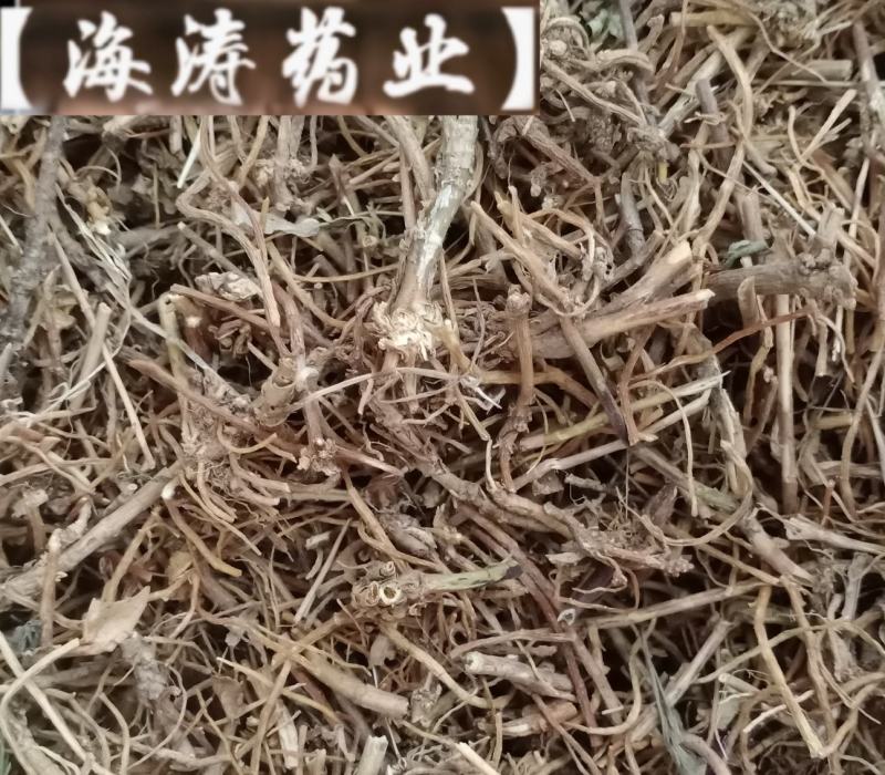 【龙胆草】产地东北实物拍摄大货供应规格齐全量大优惠