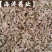 【小茴香】产地甘肃实物拍摄大货供应规格齐全量大优惠