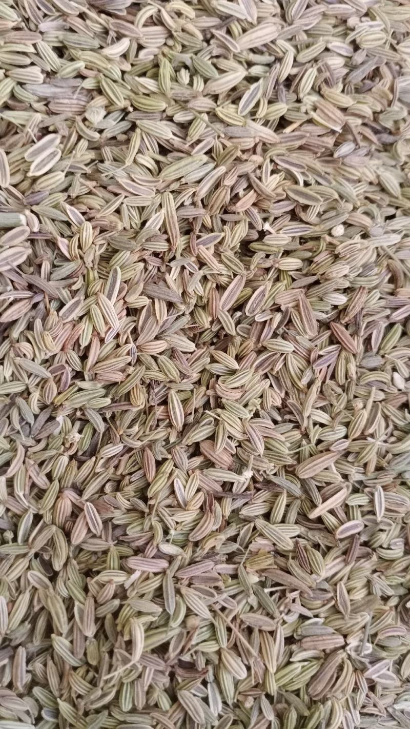 【小茴香】产地甘肃实物拍摄大货供应规格齐全量大优惠