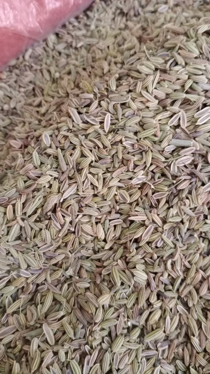 【小茴香】产地甘肃实物拍摄大货供应规格齐全量大优惠