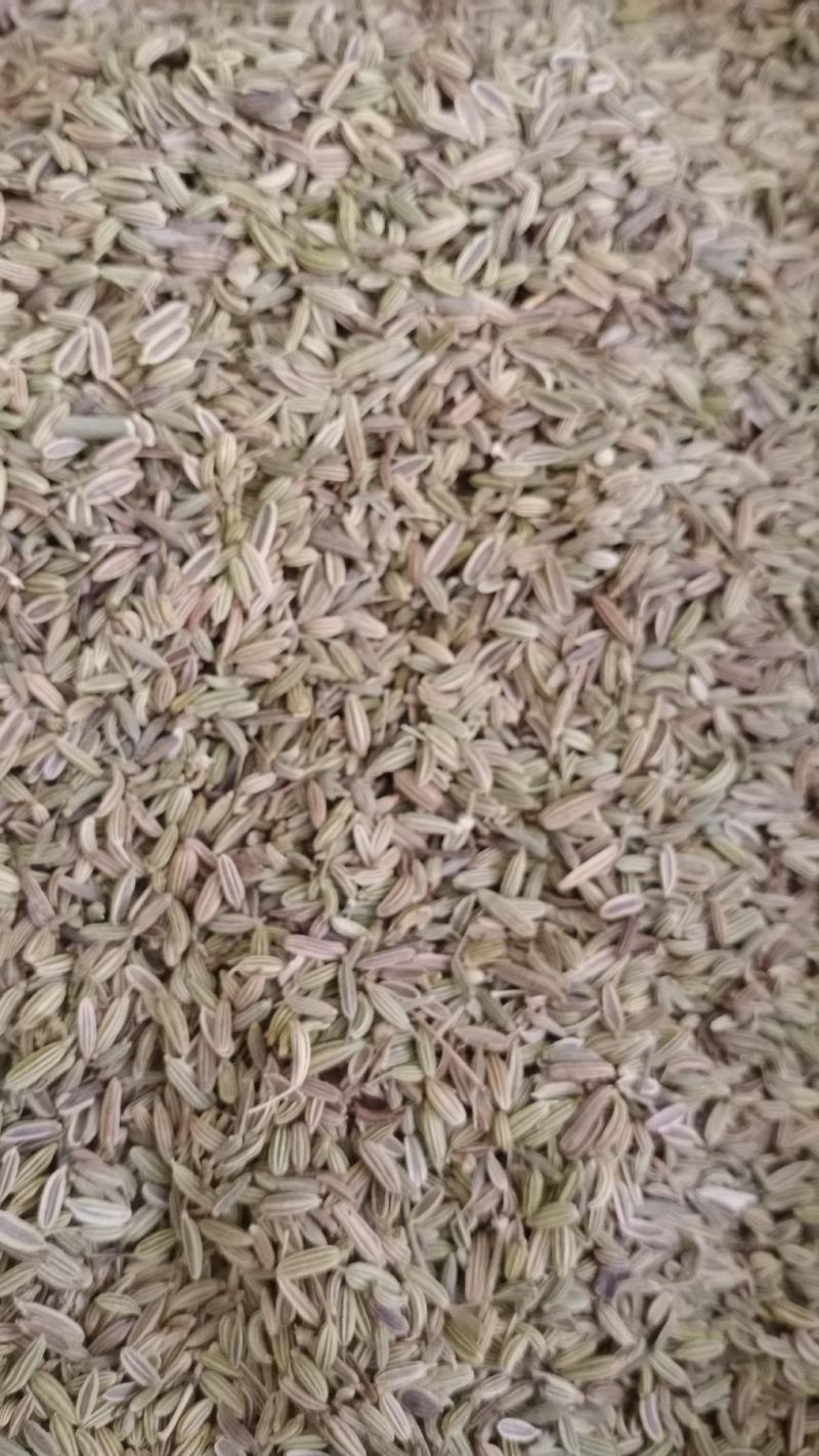 【小茴香】产地甘肃实物拍摄大货供应规格齐全量大优惠