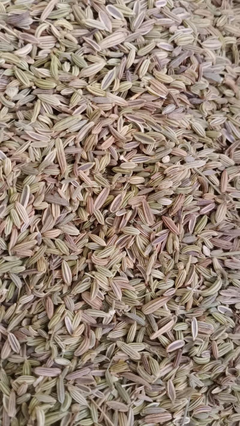 【小茴香】产地甘肃实物拍摄大货供应规格齐全量大优惠