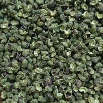 泸州藤椒青花椒基地直发欢迎大家咨询选购