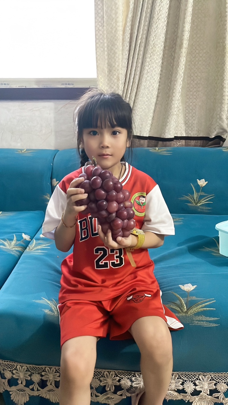 红巨峰葡萄，夏黑葡萄颗粒大，串行紧凑，口感非常好