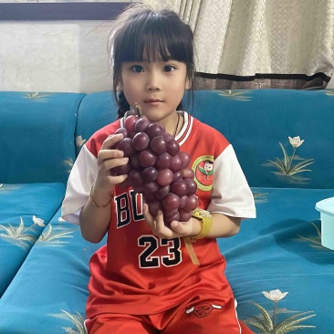 红巨峰葡萄，夏黑葡萄颗粒大，串行紧凑，口感非常好