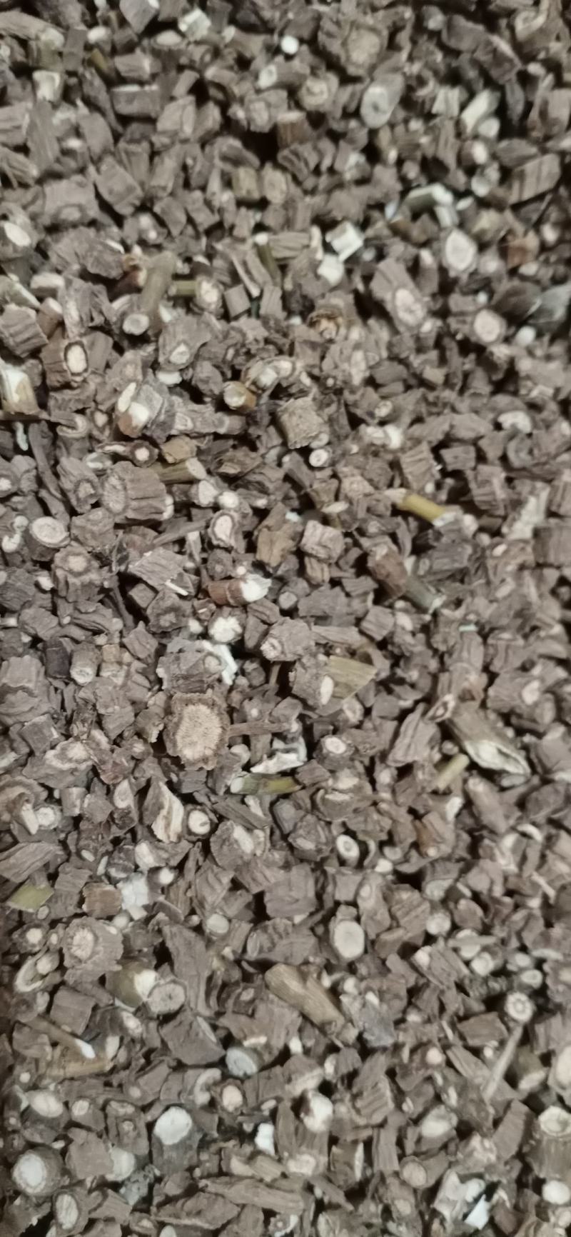 产地甘肃实物拍摄大货供应规格齐全量大优惠。