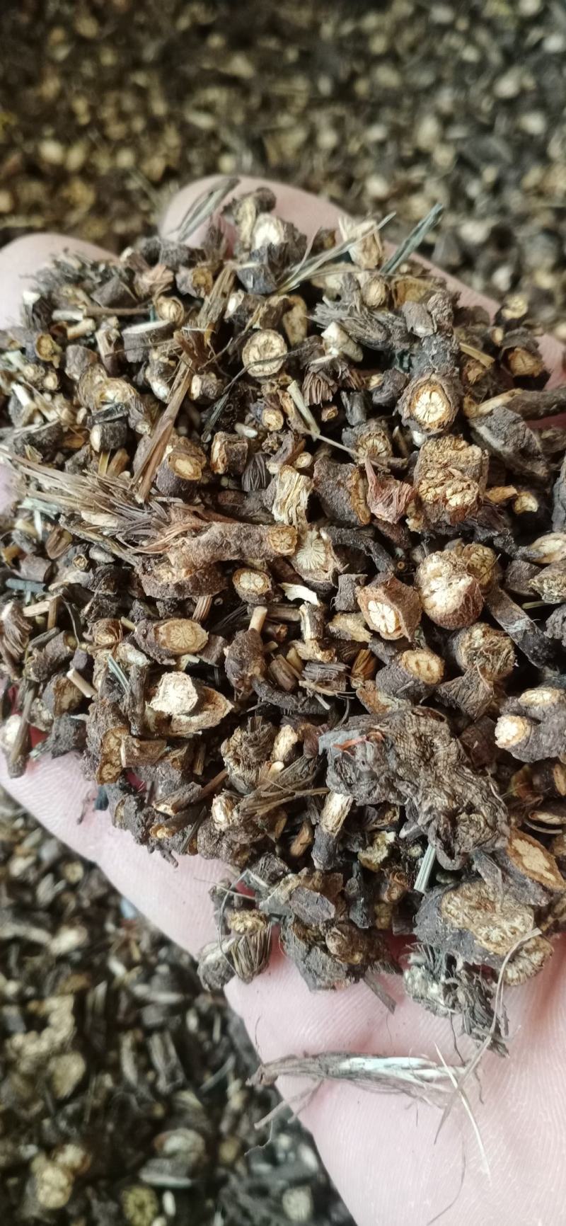 【黑柴胡】产地内蒙实物拍摄大货供应规格齐全量大优惠。