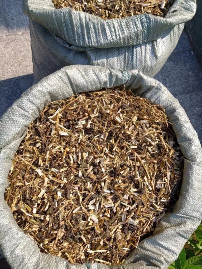 紫苏干