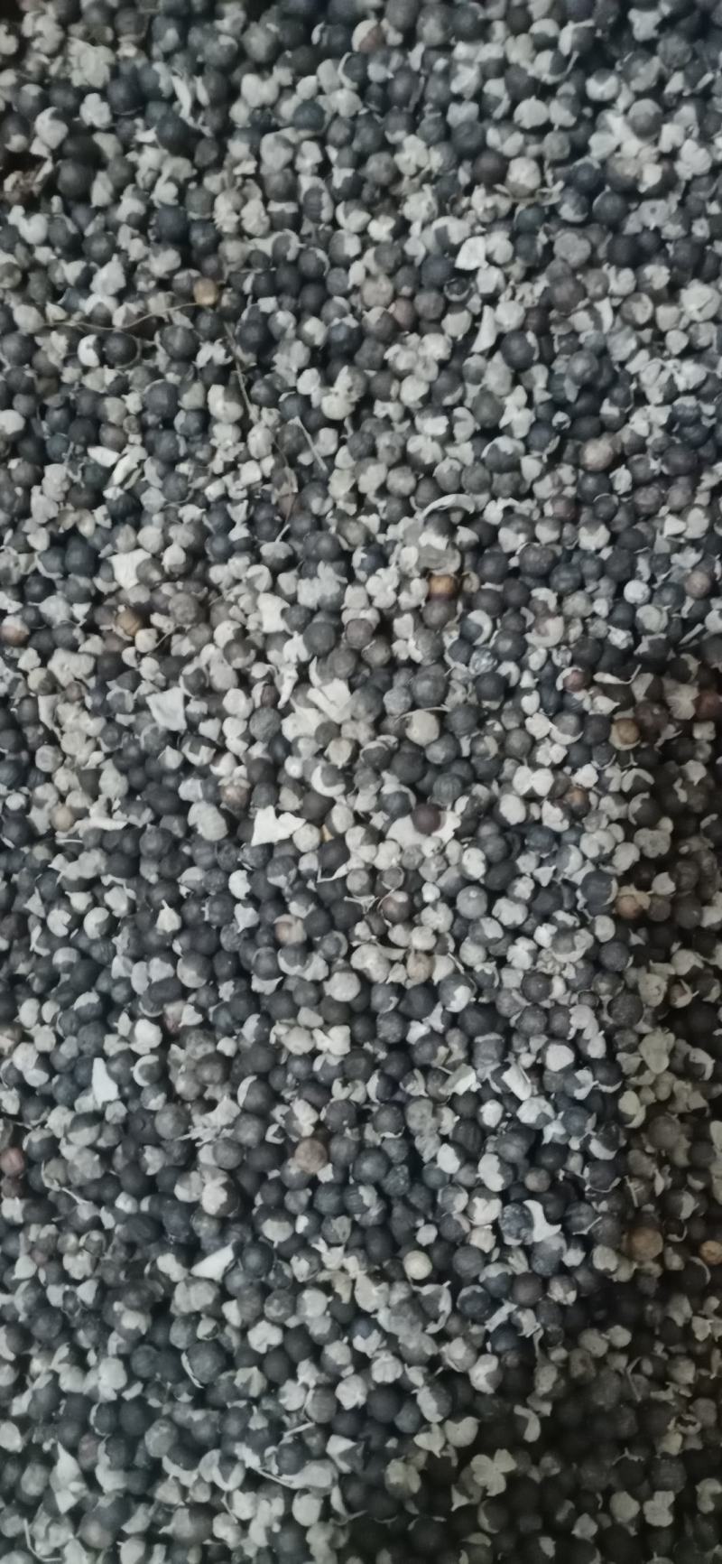 【蔓荆子】产地江西实物拍摄大货供应规格齐全量大优惠。