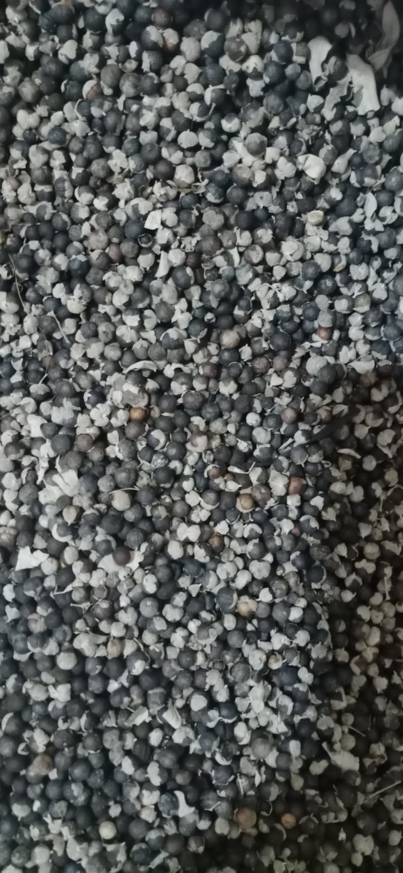【蔓荆子】产地江西实物拍摄大货供应规格齐全量大优惠。