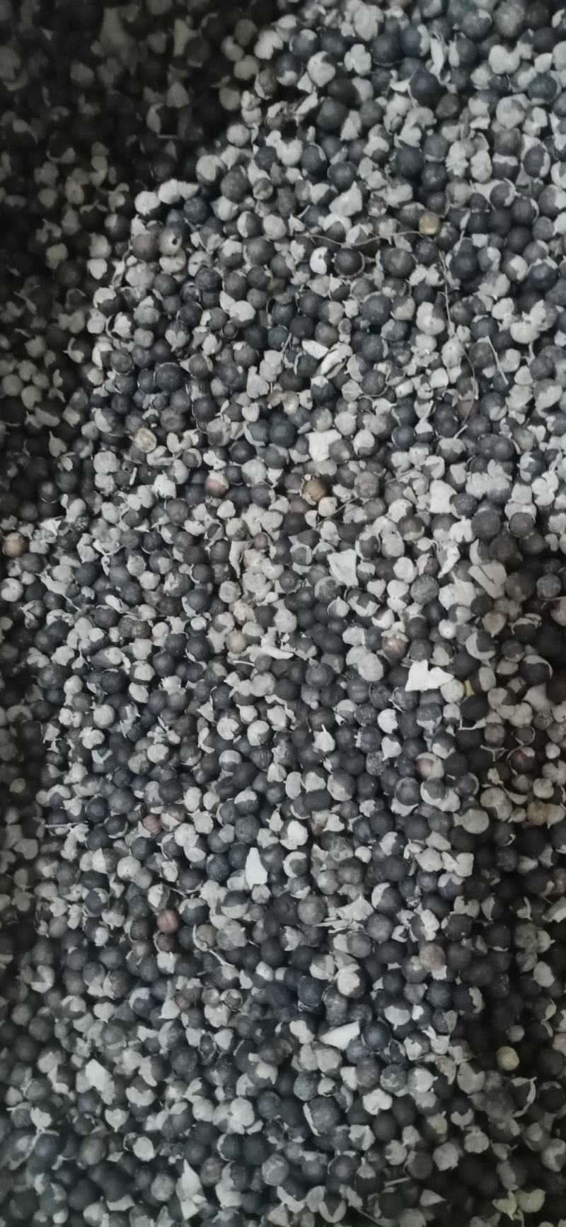 【蔓荆子】产地江西实物拍摄大货供应规格齐全量大优惠。