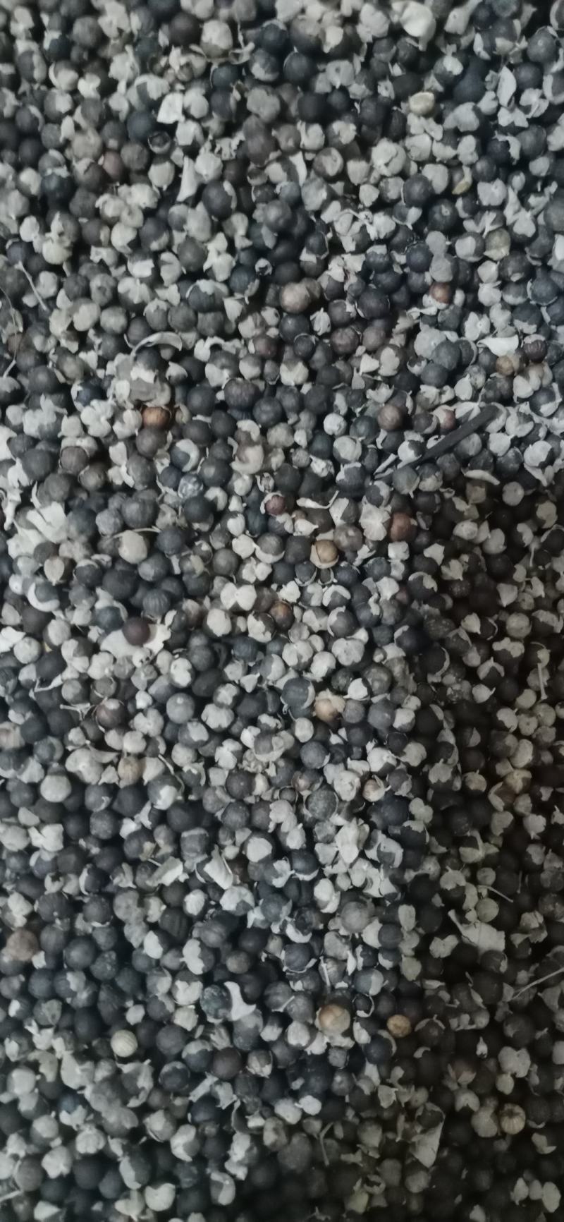 【蔓荆子】产地江西实物拍摄大货供应规格齐全量大优惠。