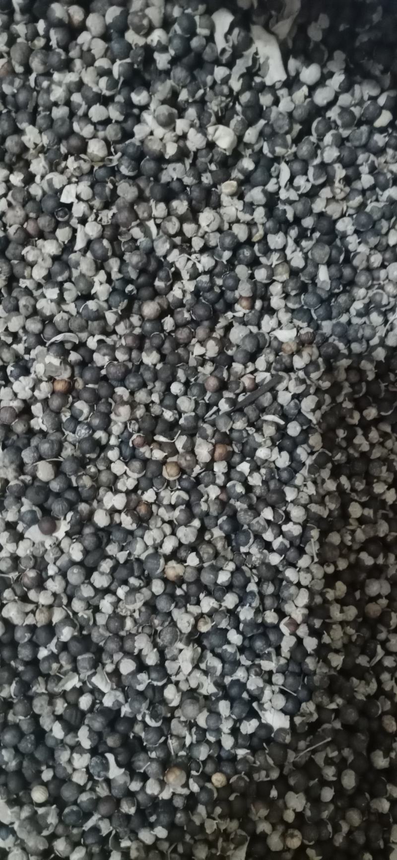 【蔓荆子】产地江西实物拍摄大货供应规格齐全量大优惠。