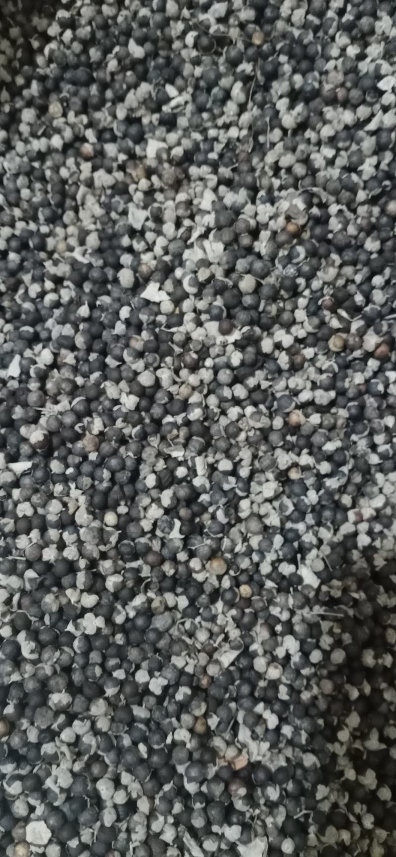 【蔓荆子】产地江西实物拍摄大货供应规格齐全量大优惠。