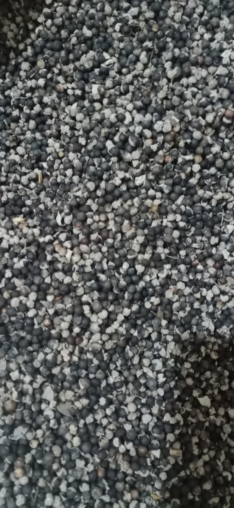 【蔓荆子】产地江西实物拍摄大货供应规格齐全量大优惠。