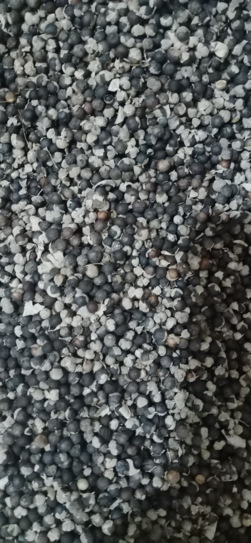 【蔓荆子】产地江西实物拍摄大货供应规格齐全量大优惠。